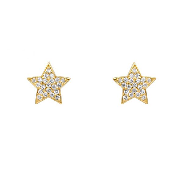 8343B3G Ohrstecker, gelbvergoldet Stern , Zi weiß
